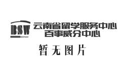 浅谈美国留学本科10个热门专业