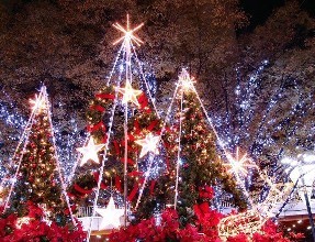 超好听的圣诞歌曲，原来每首歌背后都有一个暖