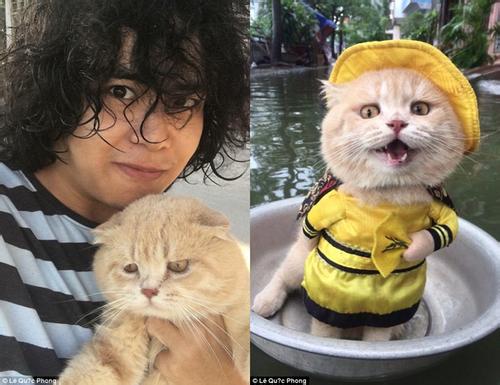 这只“会卖鱼”的猫火了，每天穿个黄袍在菜市